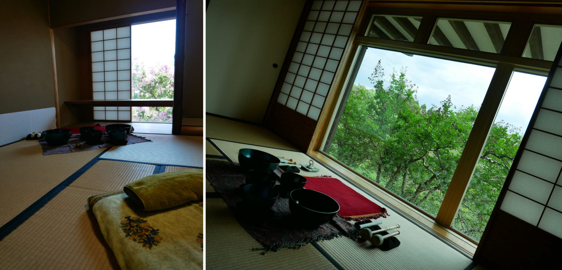 京都のプライベートサウンドバス|SoniQ Ronin 緑の館の和室と、窓から望む緑の風景